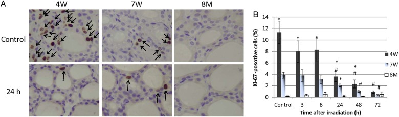 Fig. 1.