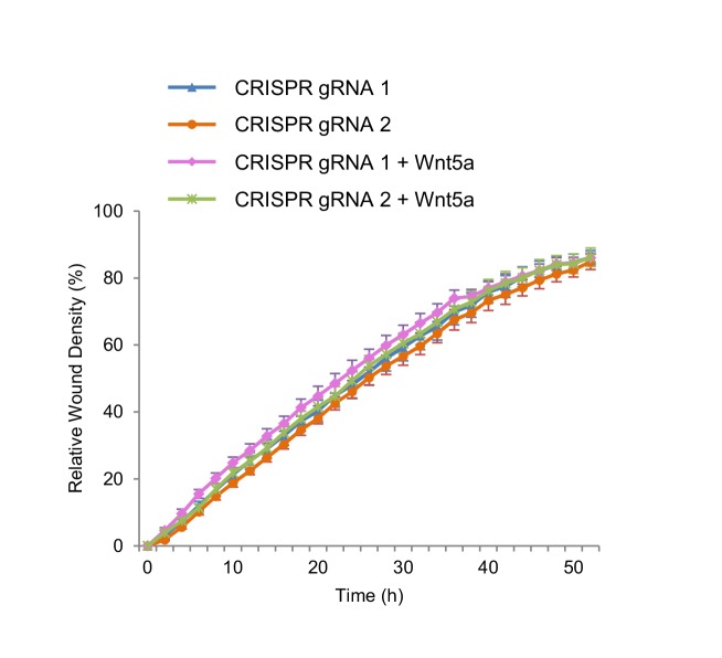 Figure 5—figure supplement 3.