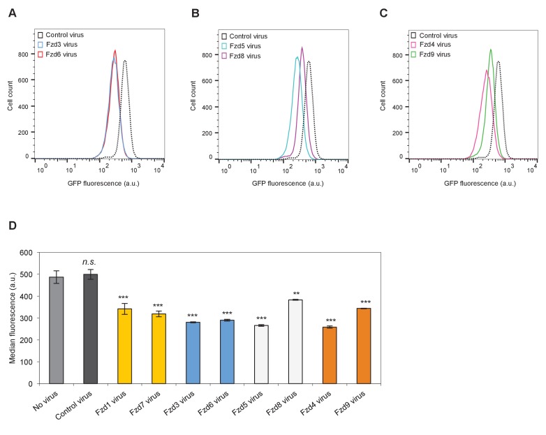 Figure 4—figure supplement 1.