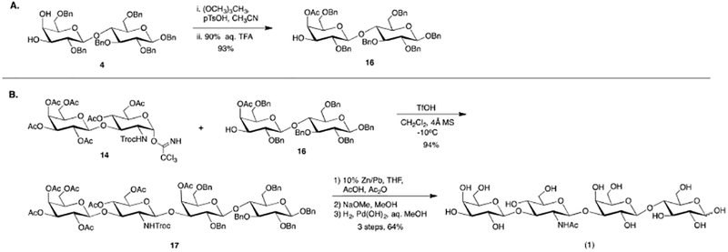 Scheme 3.