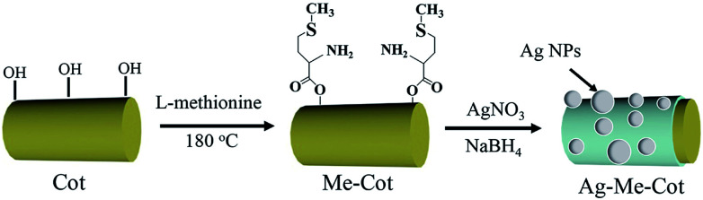 Scheme 1