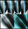 Fig. 3