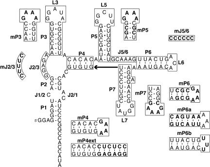 FIGURE 2.