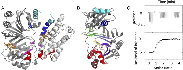 Fig. 3.