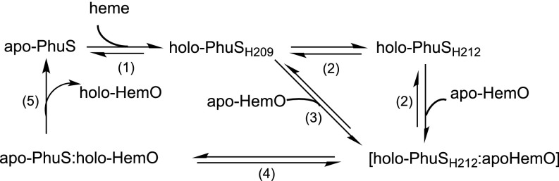 Fig. 5.