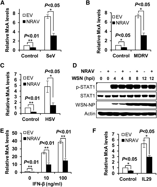 Figure 5