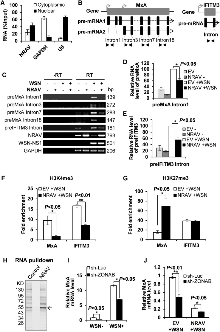 Figure 6