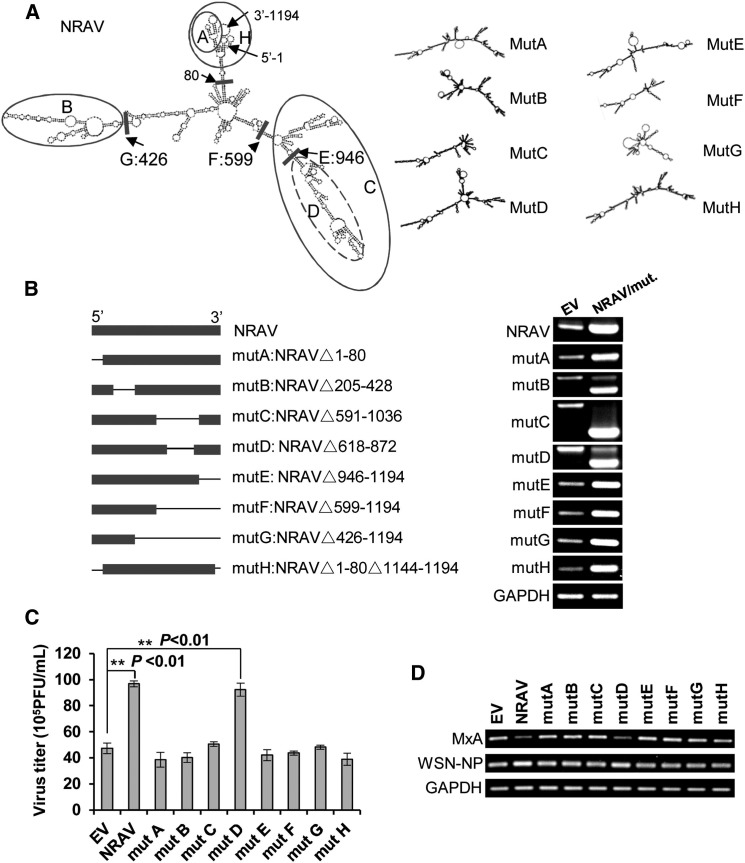 Figure 7