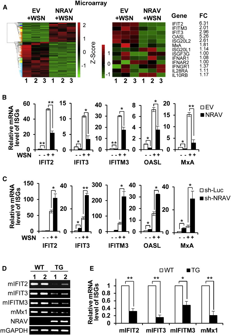 Figure 4