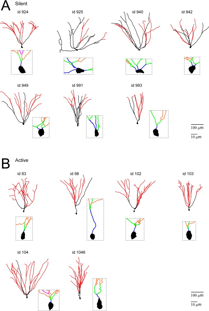 Figure 4—figure supplement 1.