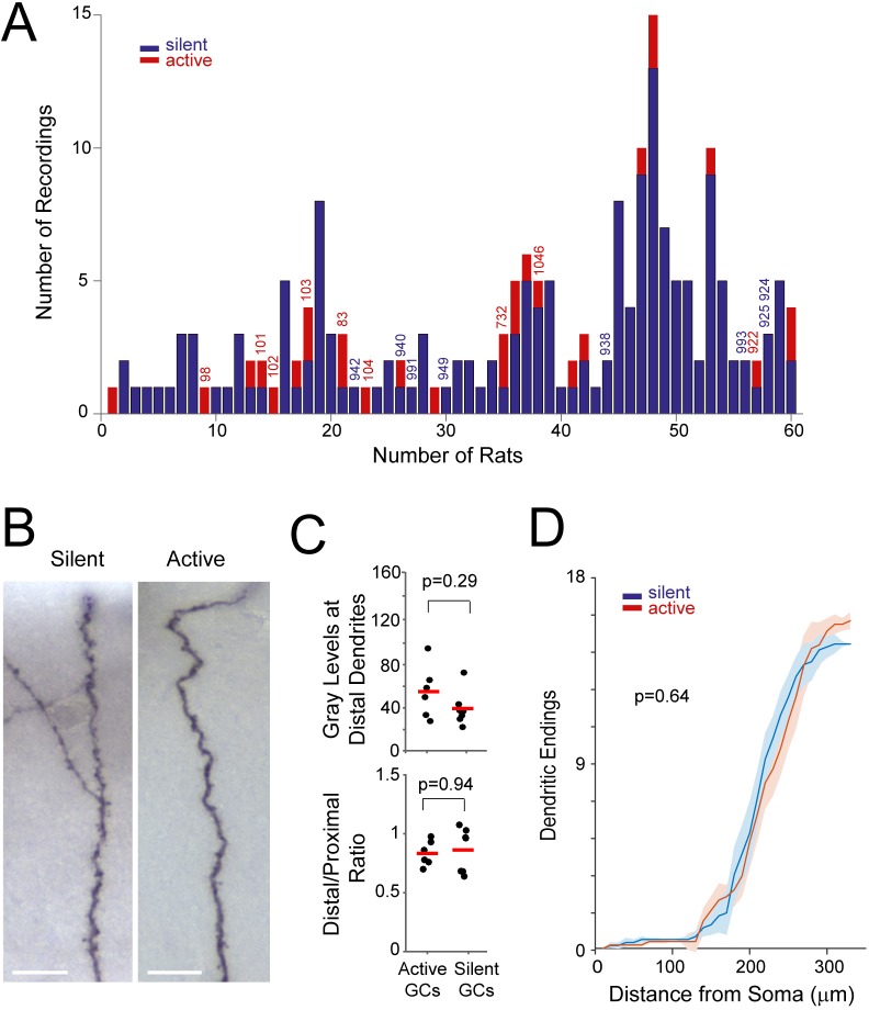 Figure 4—figure supplement 2.