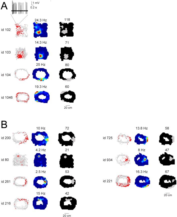 Figure 3—figure supplement 1.