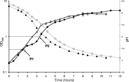 FIG. 1.