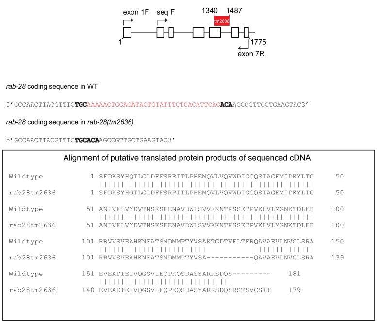 Figure 4—figure supplement 1.