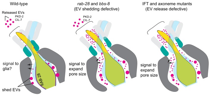 Figure 7.