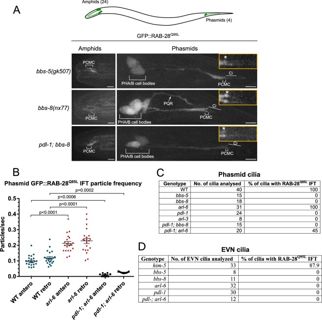 Figure 1—figure supplement 1.