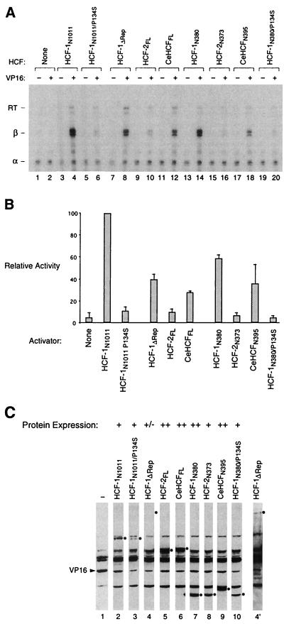 FIG. 3