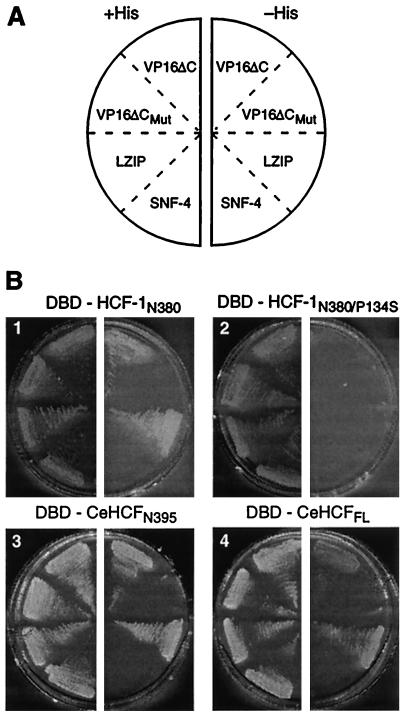 FIG. 5