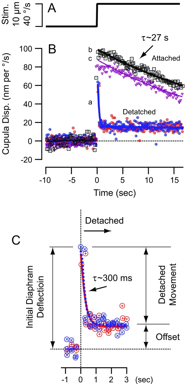 FIG. 6