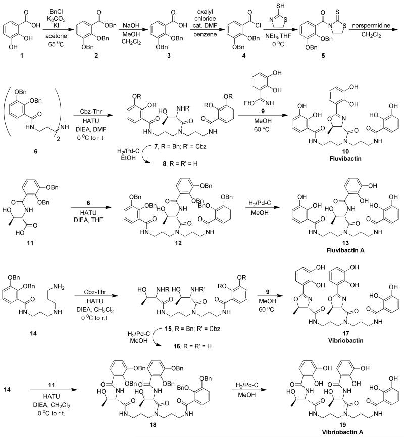 Scheme 1