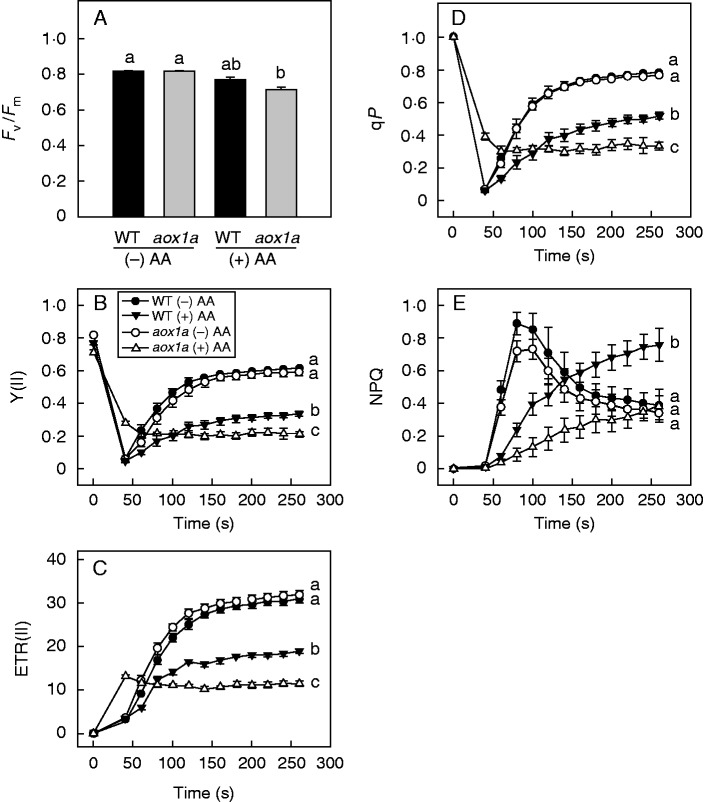 Fig.2.