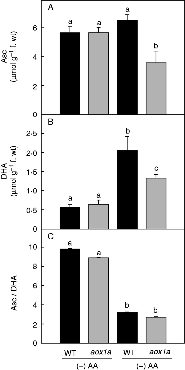 Fig.5.