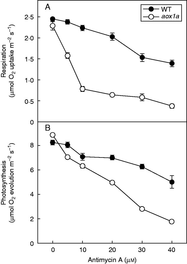 Fig.1.