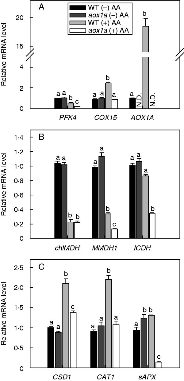 Fig.8.