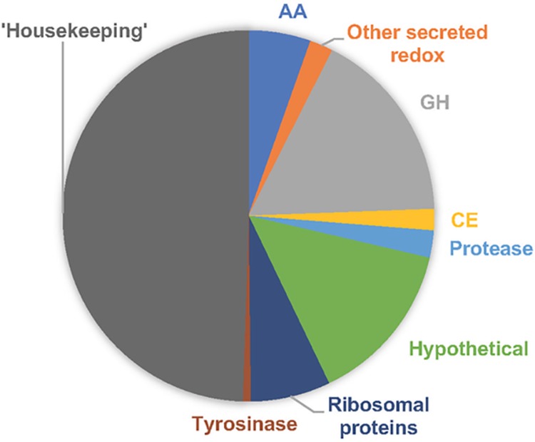 FIG 1