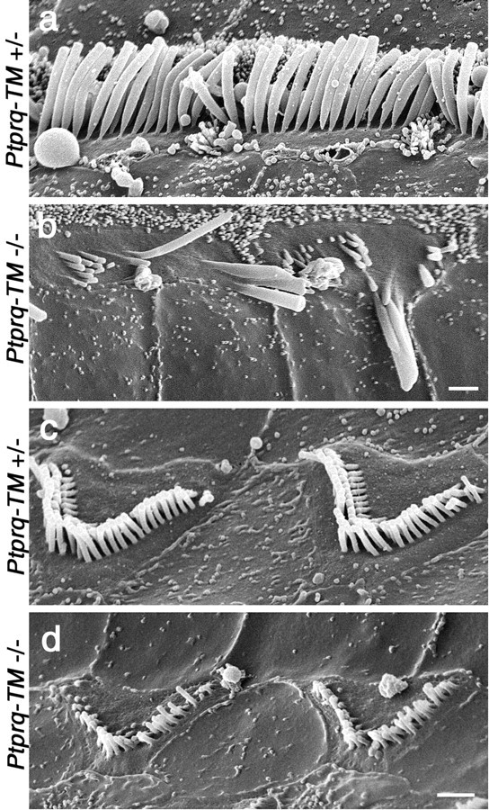 Figure 11.