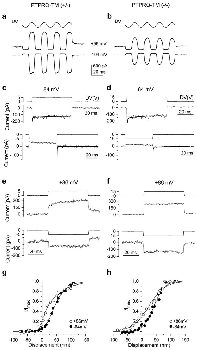 Figure 13.