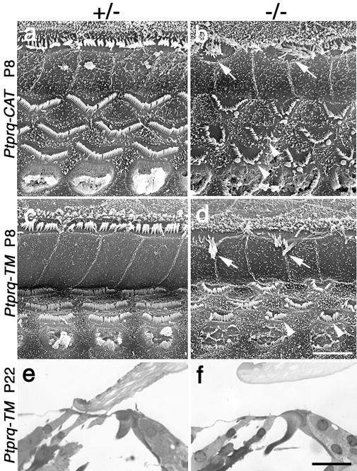 Figure 10.