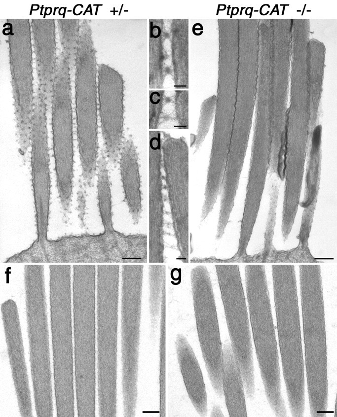 Figure 12.