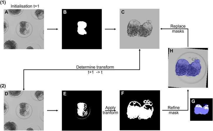 FIGURE 2