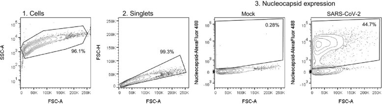 Extended Data Fig. 7