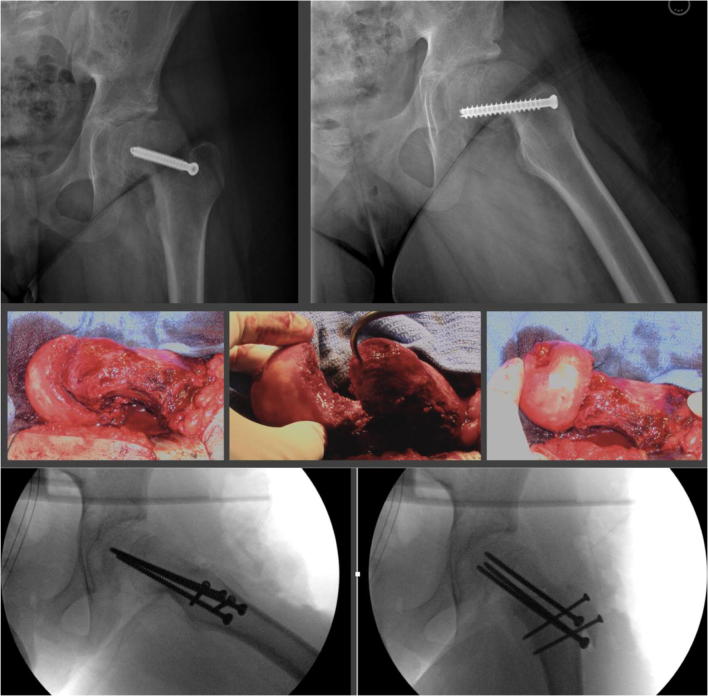 Fig. 7