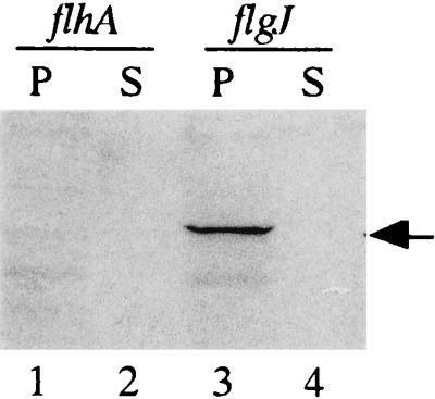 FIG. 5