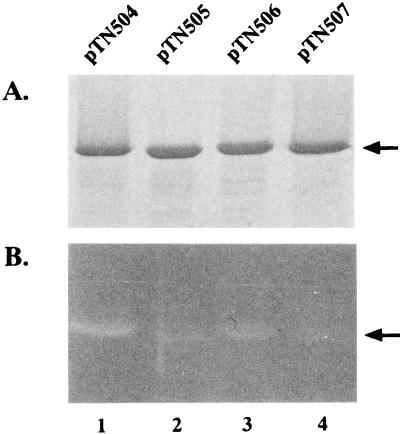 FIG. 4