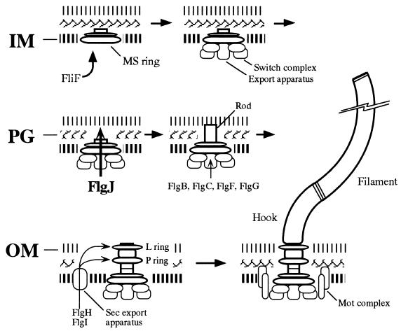 FIG. 6