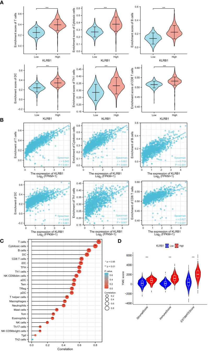 Figure 6