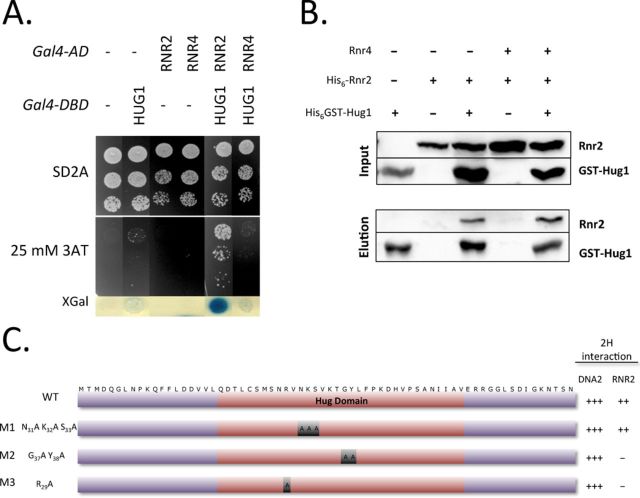 Figure 4.