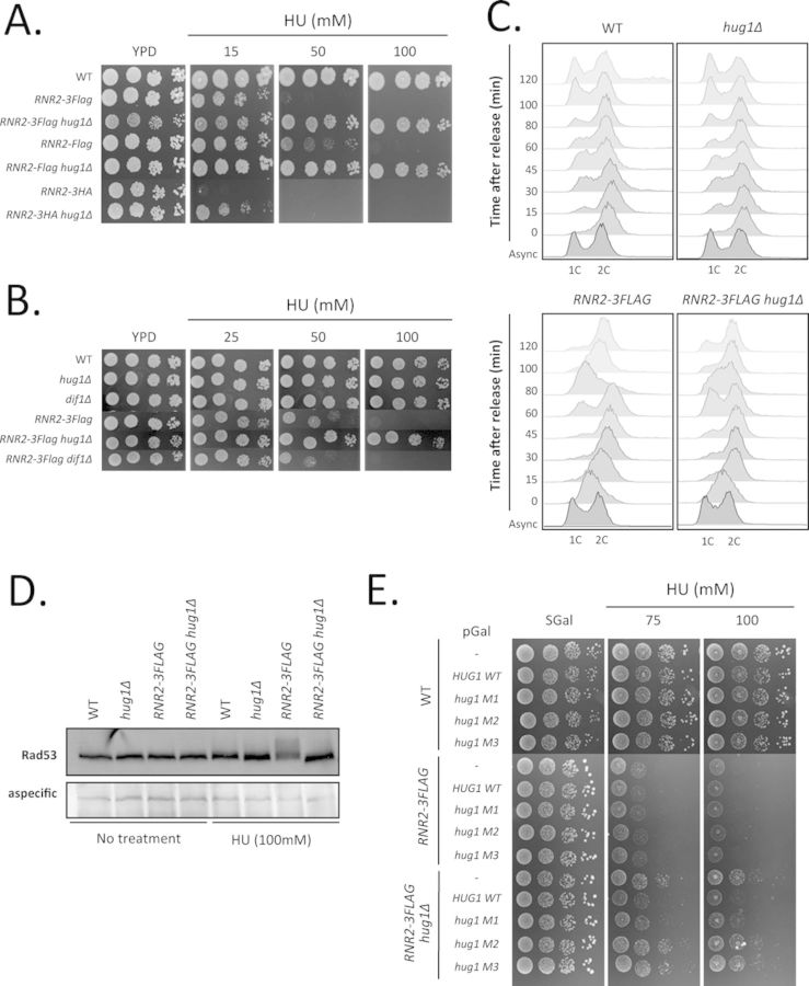 Figure 6.