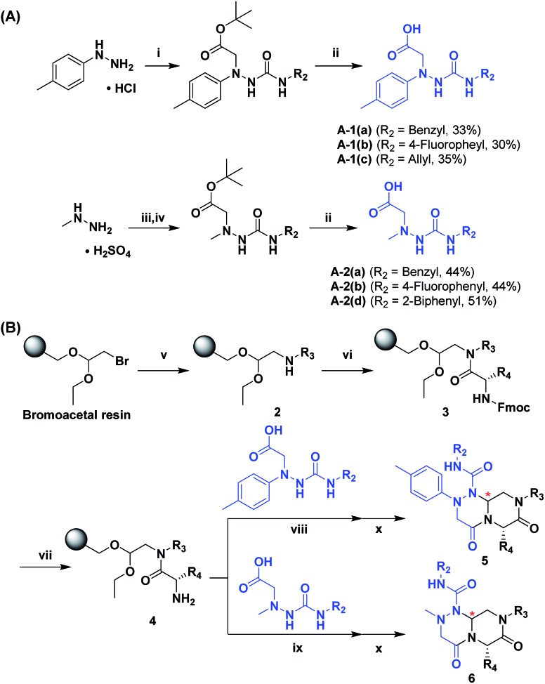 Scheme 1
