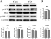 Supplementary fig. 2