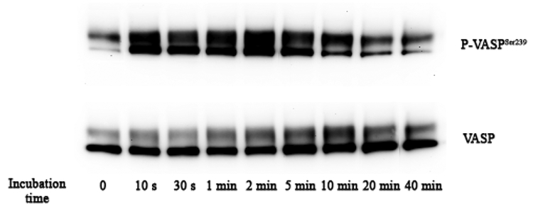 Figure 4: