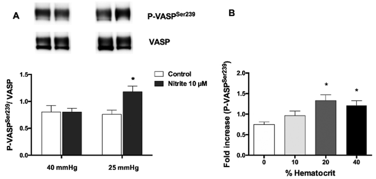 Figure 5: