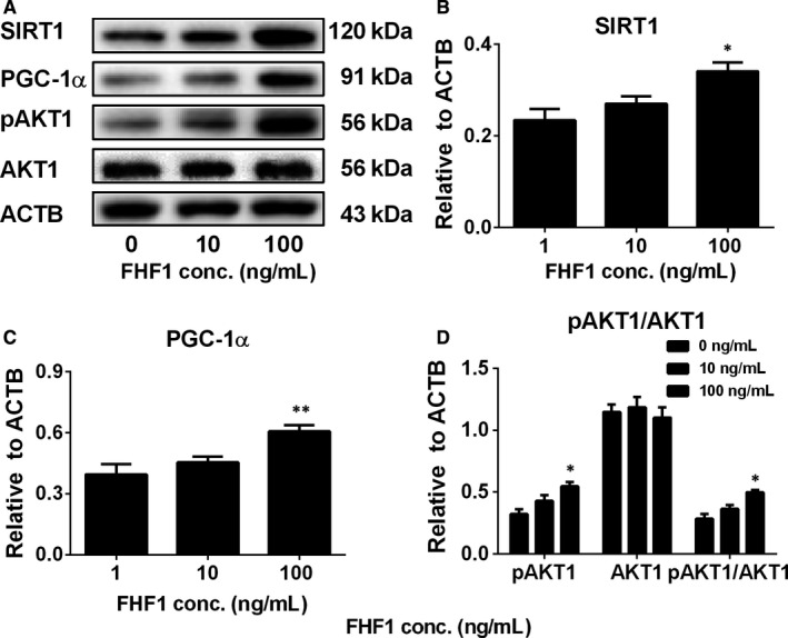 Figure 10