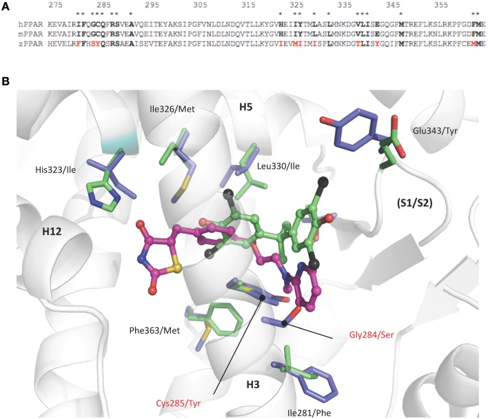 Figure 5