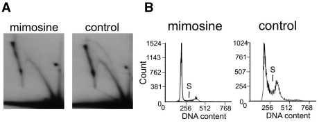 Figure 6.