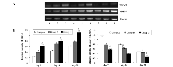 Figure 5.